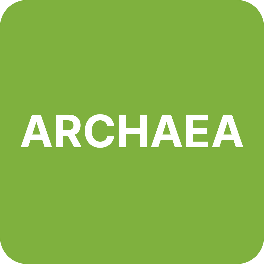 Archaea