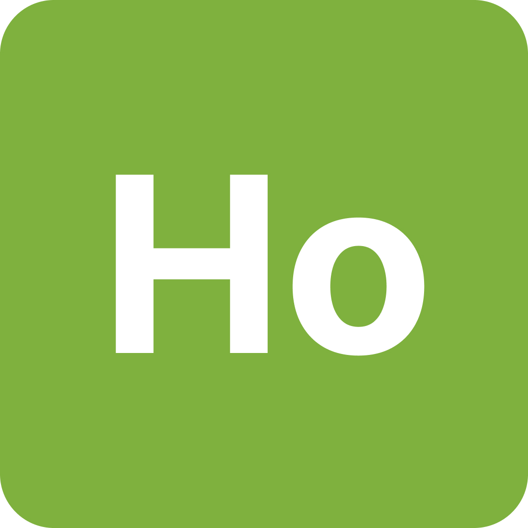 Holotype